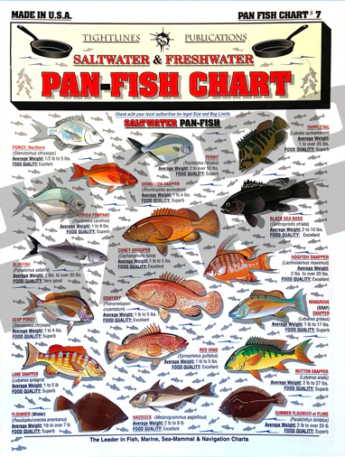 Tightlines Fish ID #7 Chart – Saltwater Pan Fish Supply