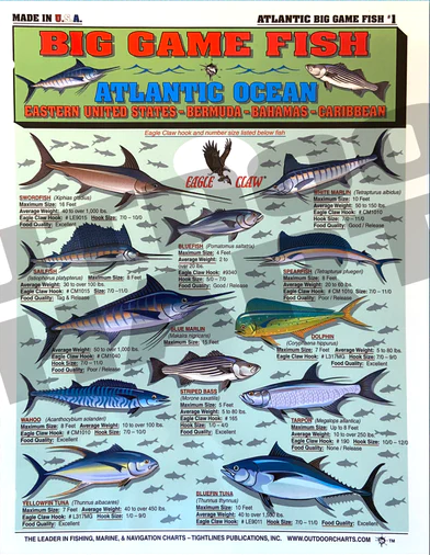 Tightlines Fish ID #1 Chart – Big Game Atlantic Online