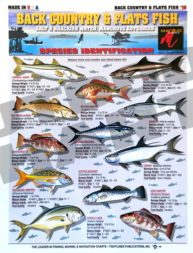 Tightlines Fish ID #10 Chart – Back Country & Flats Online Sale