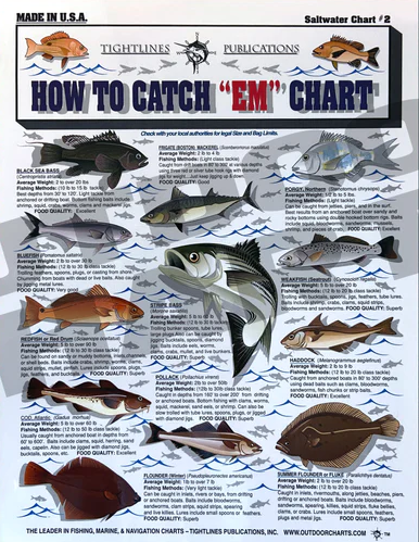 Tightlines How To Catch ‘Em Charts Fashion