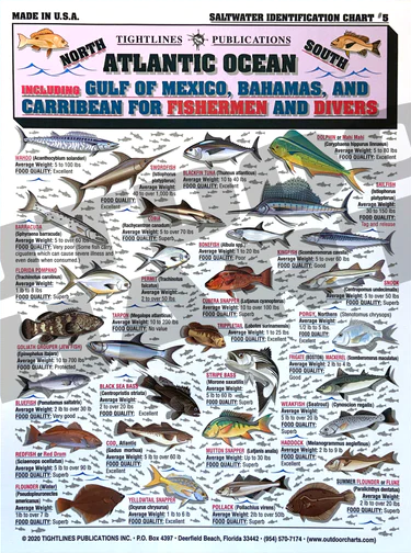 Tightlines Fish ID #5 Chart – Gulf Waters & More Online Sale