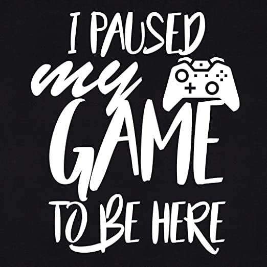 I Paused My Game to Be Here Graphic Novelty Adult Humor Sarcastic Funny T Shirt Online now